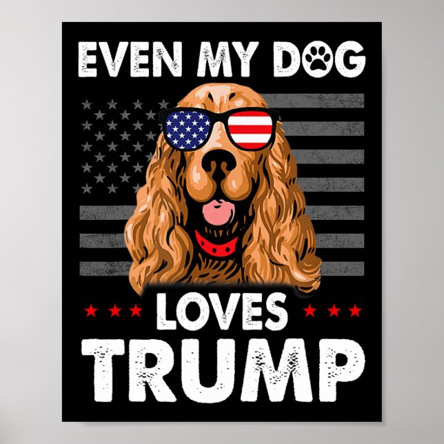Spaniel sogar mein Hund Lieben Trump Funny Poster (Vorne)