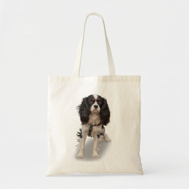 SPANIEL TRAGETASCHE (Vorne)