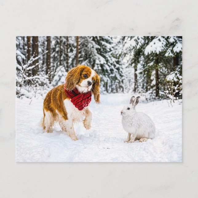Spaniel trifft Schneehase im Winterwald Postkarte (Vorderseite)