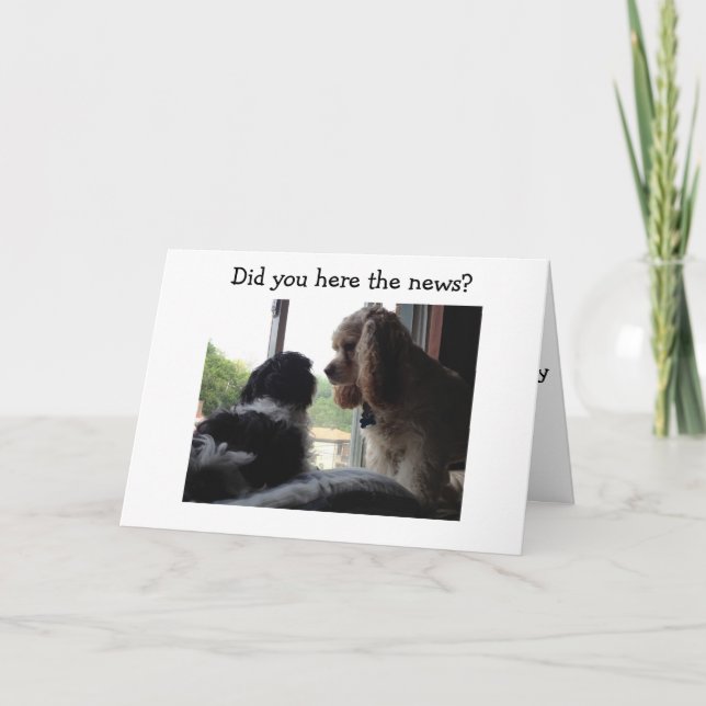 SPANIEL UND HAVANESE SAGEN IHNEN GLÜCKLICH BIRTHTA KARTE (Vorderseite)