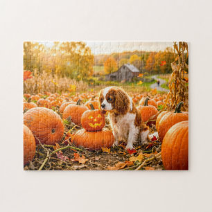 Spaniel-Welpe auf einem herbstlichen Kürbisfeld Puzzle