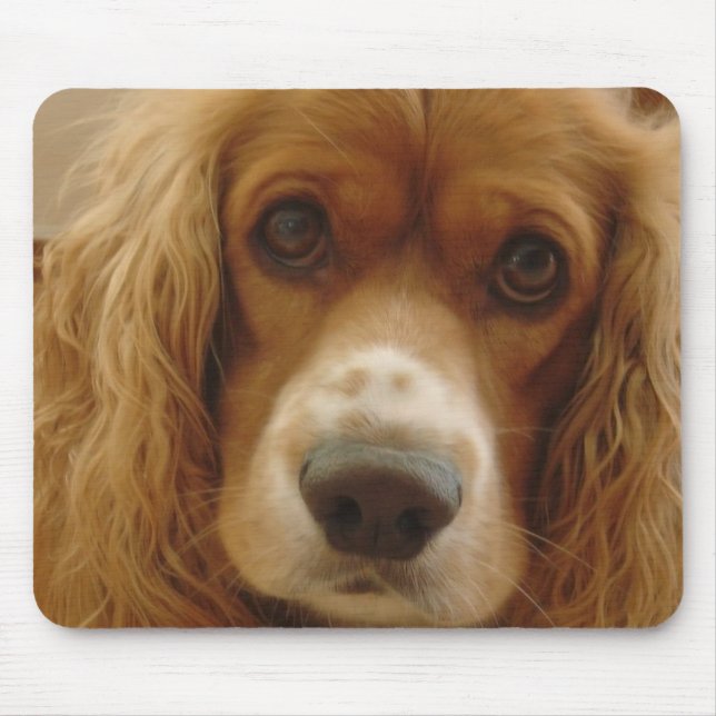 Spaniel-Zucht-Mausunterlage Mousepad (Vorne)