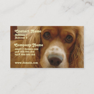 Spaniel-Zucht-Visitenkarte Visitenkarte