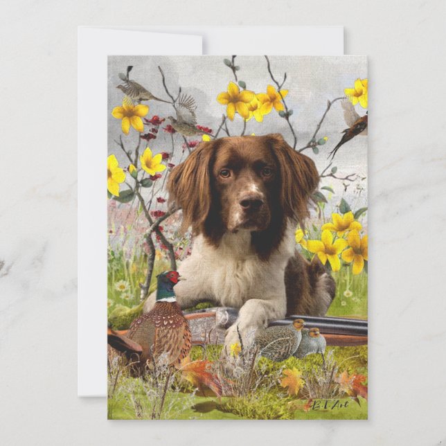 Spaniels "English Springer", Art Einladung (Vorderseite)