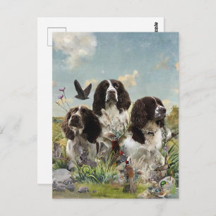 Spaniels "English Springer", Art Postkarte