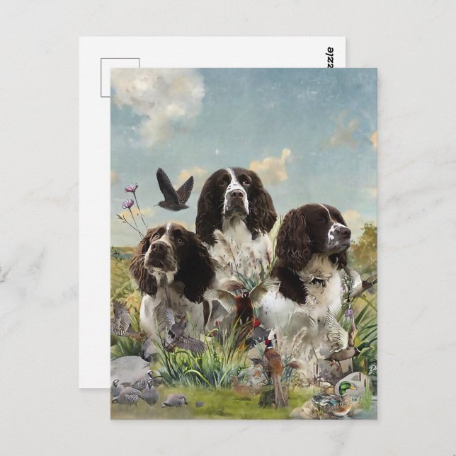 Spaniels "English Springer", Art Postkarte (Vorne/Hinten)