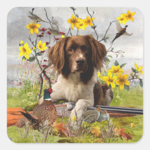 Spaniels "English Springer", Art Quadratischer Aufkleber