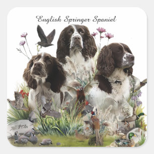 Spaniels "English Springer", Art Quadratischer Aufkleber