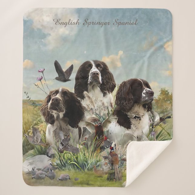 Spaniels "English Springer", Art Sherpadecke (Vorderseite)