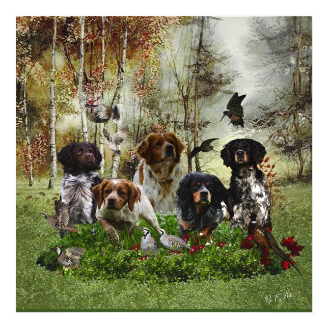 Spaniels in der Bretagne, Vogeljagd Fotodruck (Vorne)