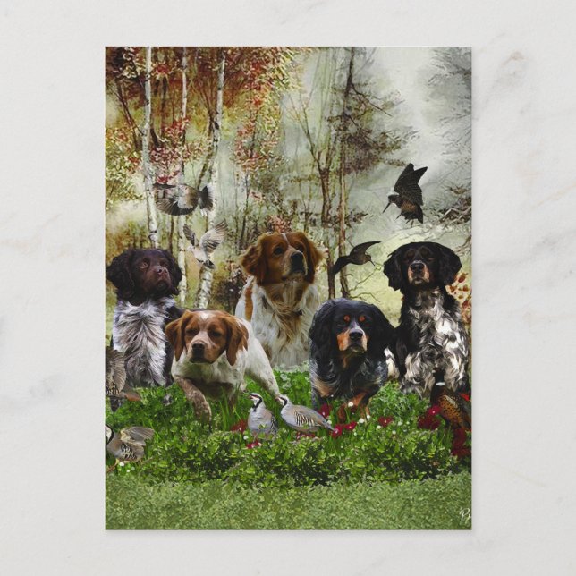 Spaniels in der Bretagne, Vogeljagd Postkarte (Vorderseite)