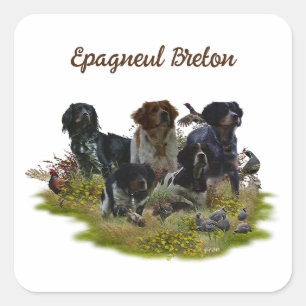 Spaniels in der Bretagne, Vogeljagd Quadratischer Aufkleber