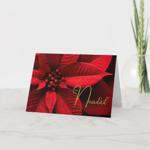 Spanien Frohe Weihnachten Christmas Poinsettie