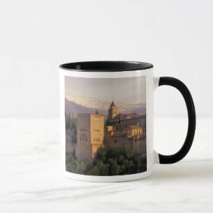 Spanien, Granada, Andalusien Die Alhambra, Tasse