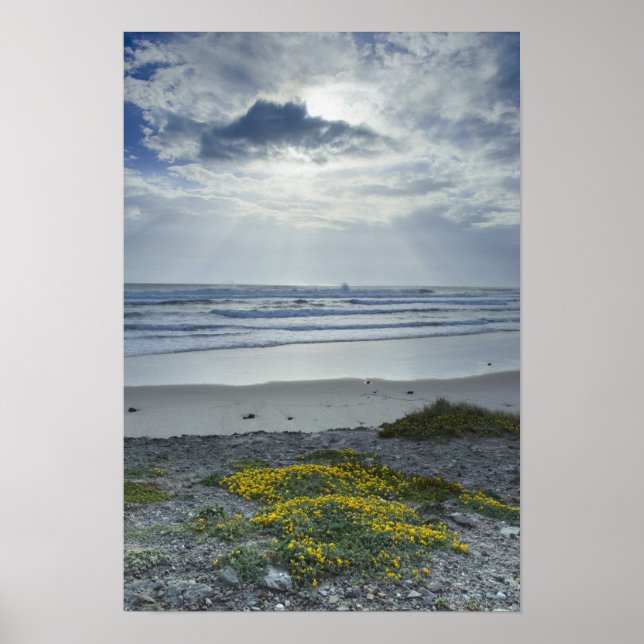 Spanien Küste mit gelben Blumen und Sonnenschaum Poster (Vorne)