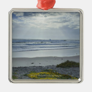 Spanien-Küstenlinie mit gelben Blumen und Ornament Aus Metall