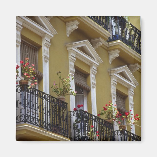 Spanien, Sevilla, Andalusien Geranien hängen über Magnet (Vorne)