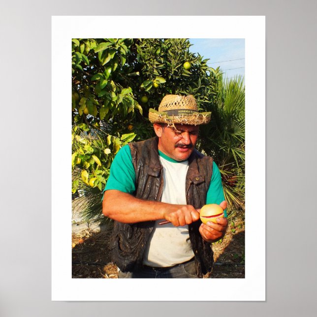 Spanier mit Grapefruits Poster (Vorne)