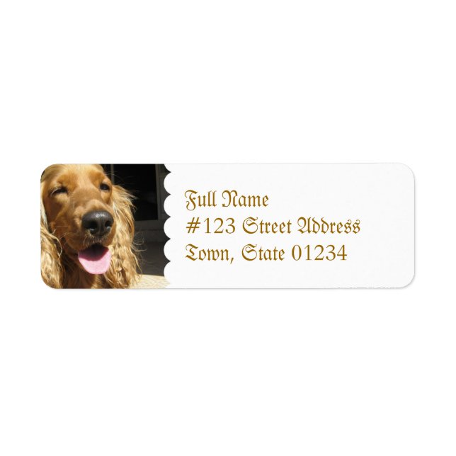 Spanisch Dog Mailing Label (Vorne)