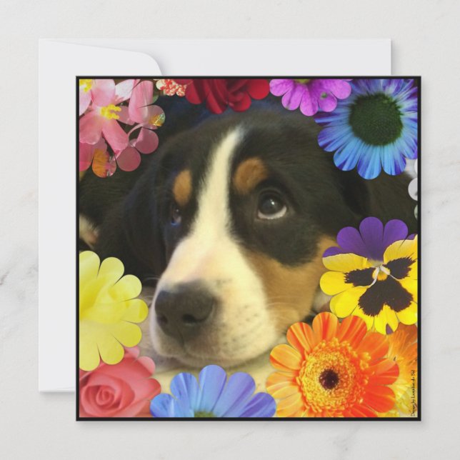 Spanisch: Invitación de cumpleaños / Geburtstag Einladung (Vorderseite)