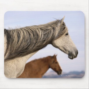 Spanisch Mustangs Mousepad