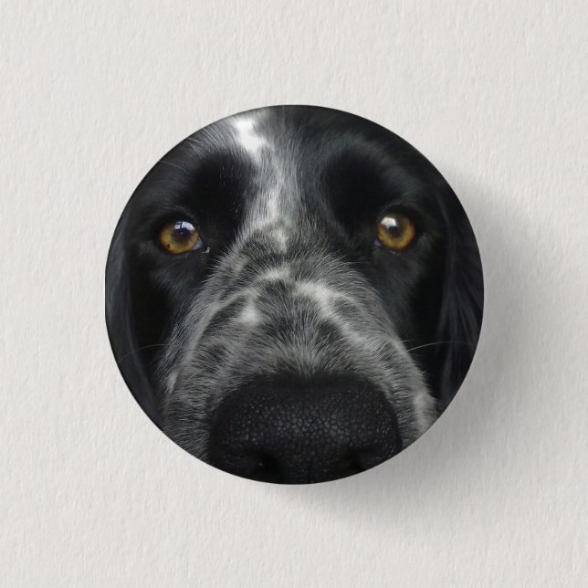 Spanisch nahes Abzeichen Button (Vorderseite)