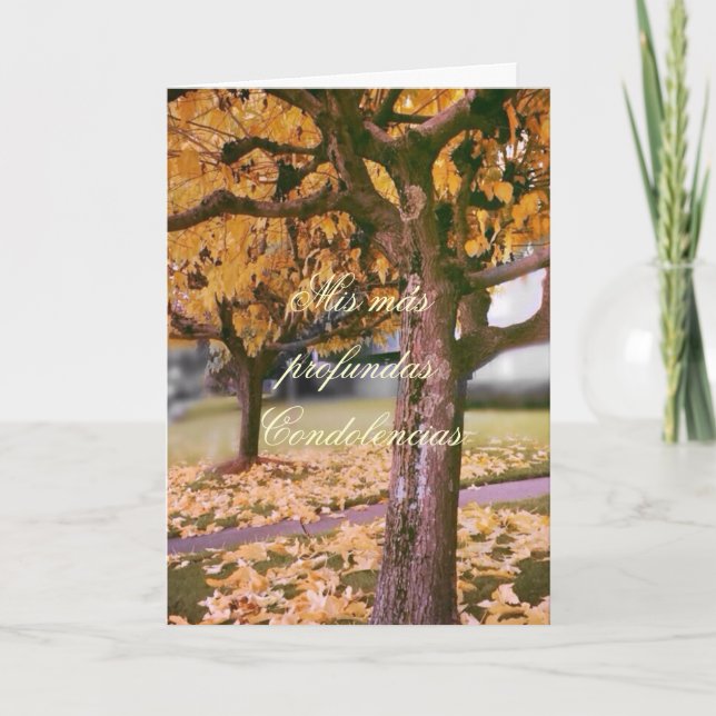 Spanisch: Pesame/Beileid Karte (Vorderseite)