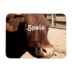 Spanisch Stier Magnet