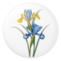 Spanische Iris von Pierre-Joseph Redouté