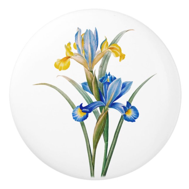 Spanische Iris von Pierre-Joseph Redouté Keramikknauf (Vorderseite)