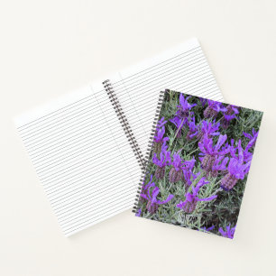 Spanische Lavendelblüten Floral Notizbuch