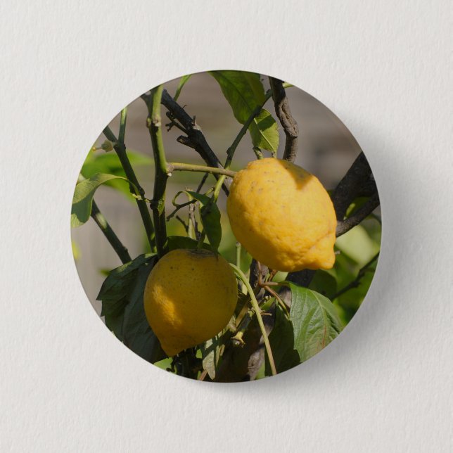 Spanische Lemon Graphics Button (Vorderseite)