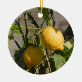 Spanische Lemon Graphics Keramikornament