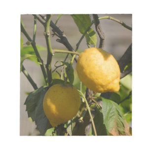 Spanische Lemon Graphics Notizblock