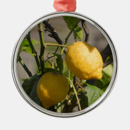 Spanische Lemon Graphics Ornament Aus Metall