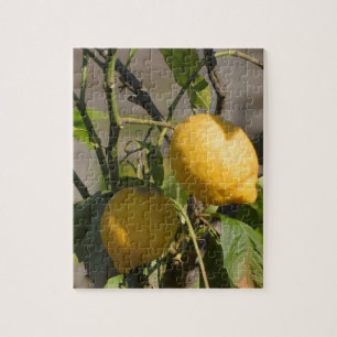 Spanische Lemon Graphics Puzzle