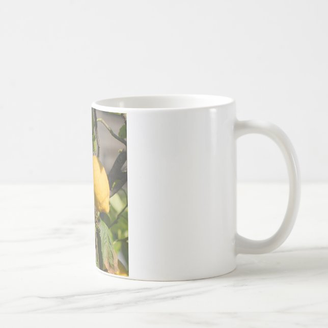 Spanische Lemon Graphics Tasse (Rechts)