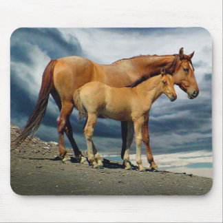 Spanische Mustang-Stute Mousepad