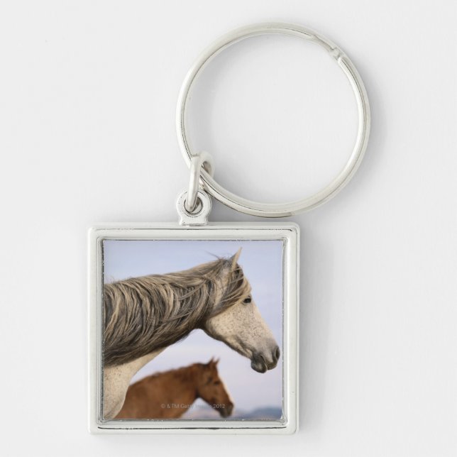 Spanische Mustangs Schlüsselanhänger (Vorne)