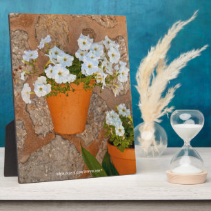 Spanische Wall Plaque Fotoplatte