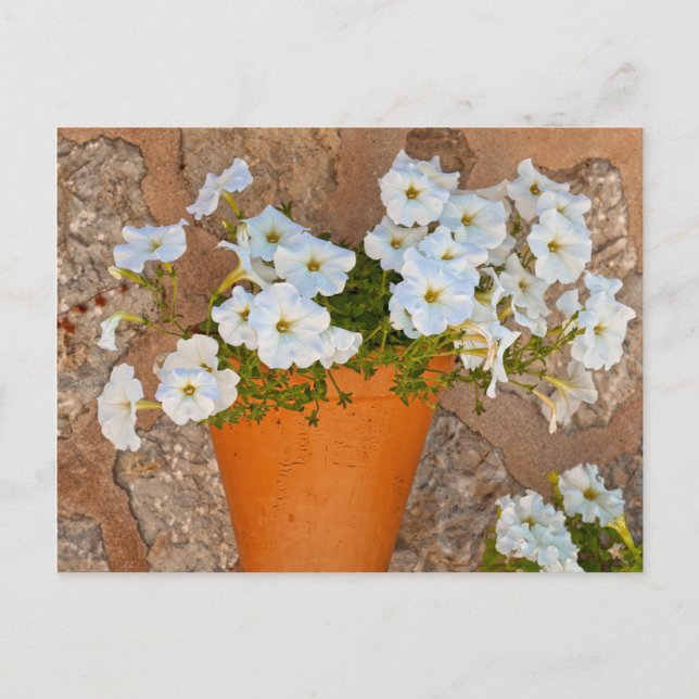 Spanische Wand Postkarte (Vorderseite)