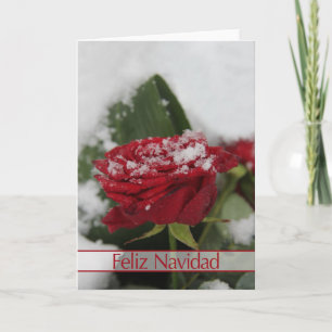 Spanische Winter-Rose Weihnachtskarte Feiertagskarte
