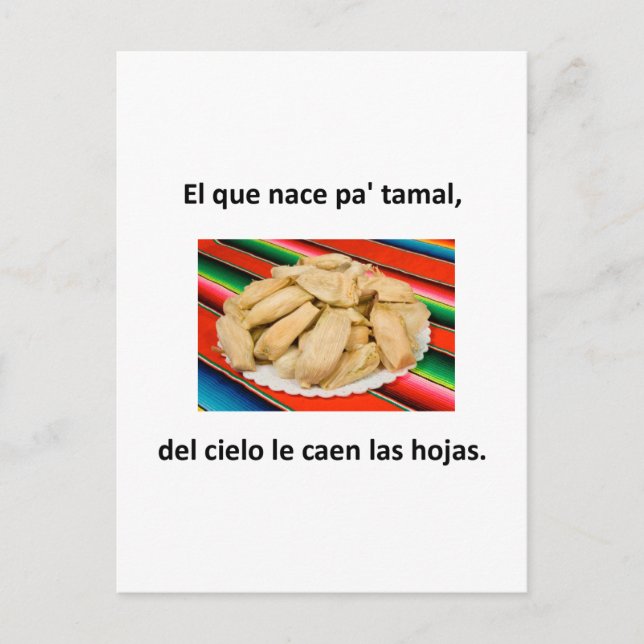 Spanische Zitate Postkarte (Vorderseite)