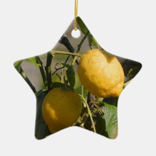 Spanische Zitronengrafiken Keramik Ornament