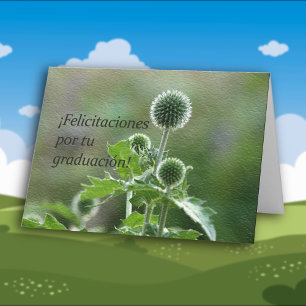 Spanischer Abschluss Karte