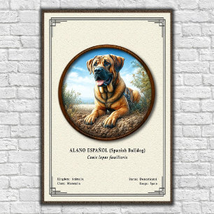 Spanischer Bulldogge (Alano Español) Zoologie-Seri Poster