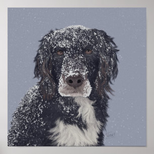 Spanischer Hundemix Poster