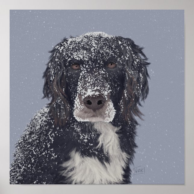 Spanischer Hundemix Poster (Vorne)