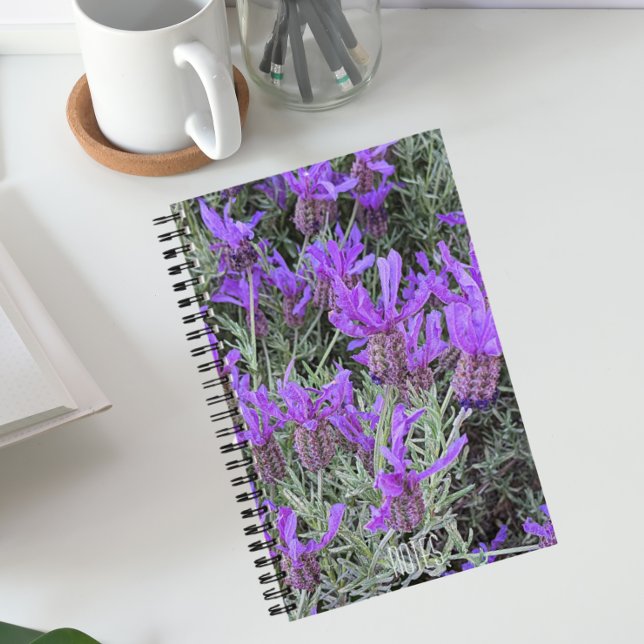 Spanischer Lavender Blooms floral Notizbuch (In Situ)