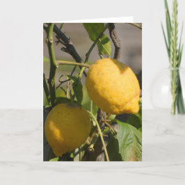 Spanischer Lemon auf den Baum Grußkarten Karte